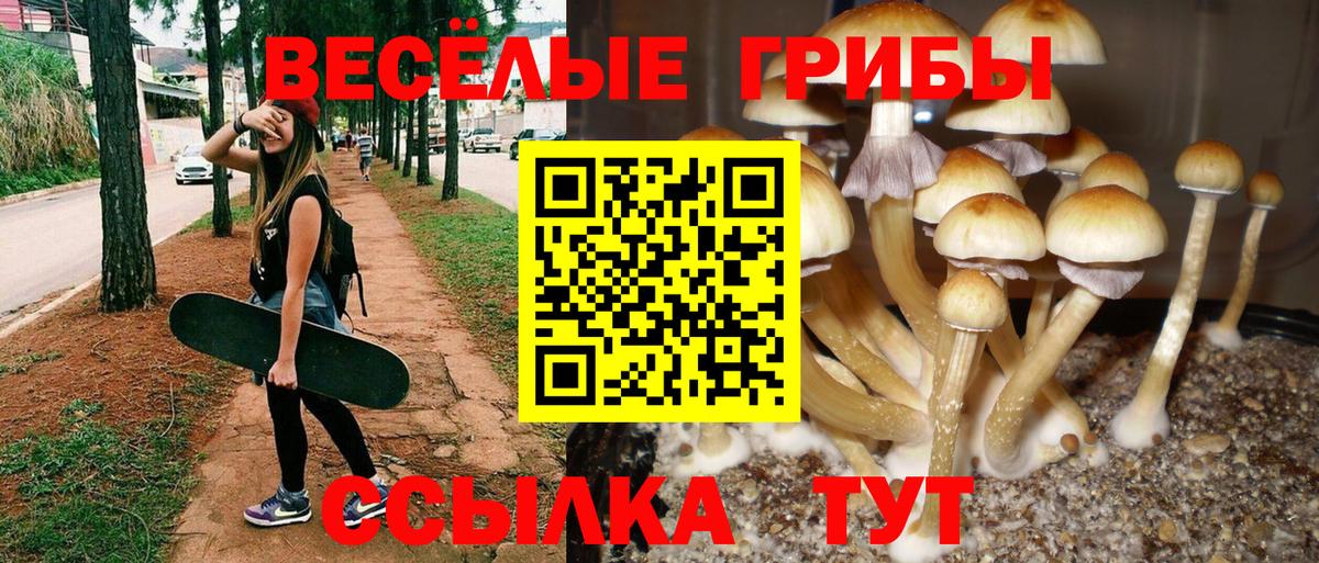 Галлюциногенные грибы GOLDEN TEACHER Приморско-Ахтарск