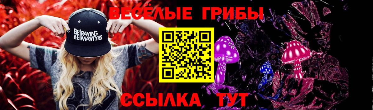 Приморско-Ахтарск  Галлюциногенные грибы ЛСД  Вход с VPN 